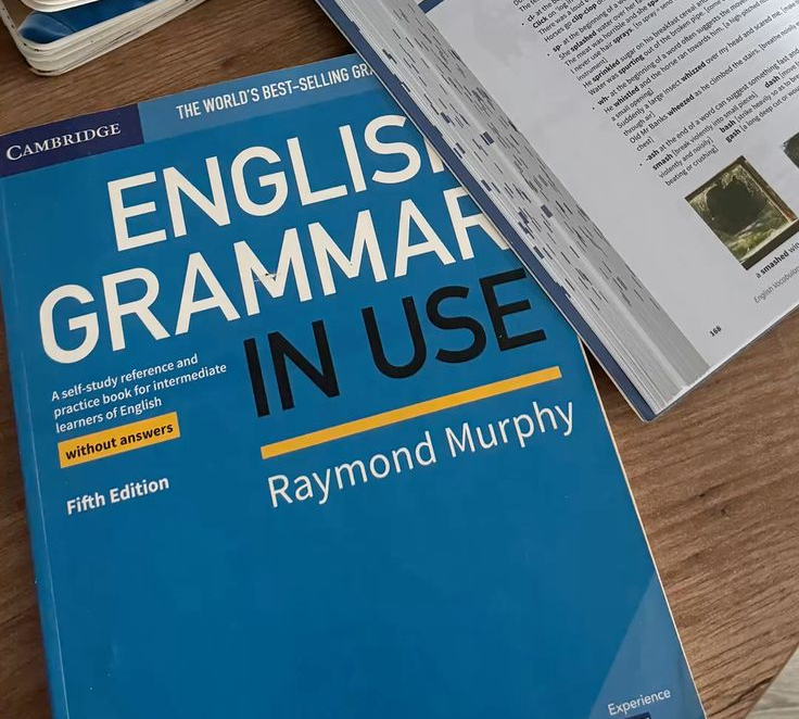 Giai đoạn 1 học IELTS bạn nên tập trung củng cố kiến thức nền tảng